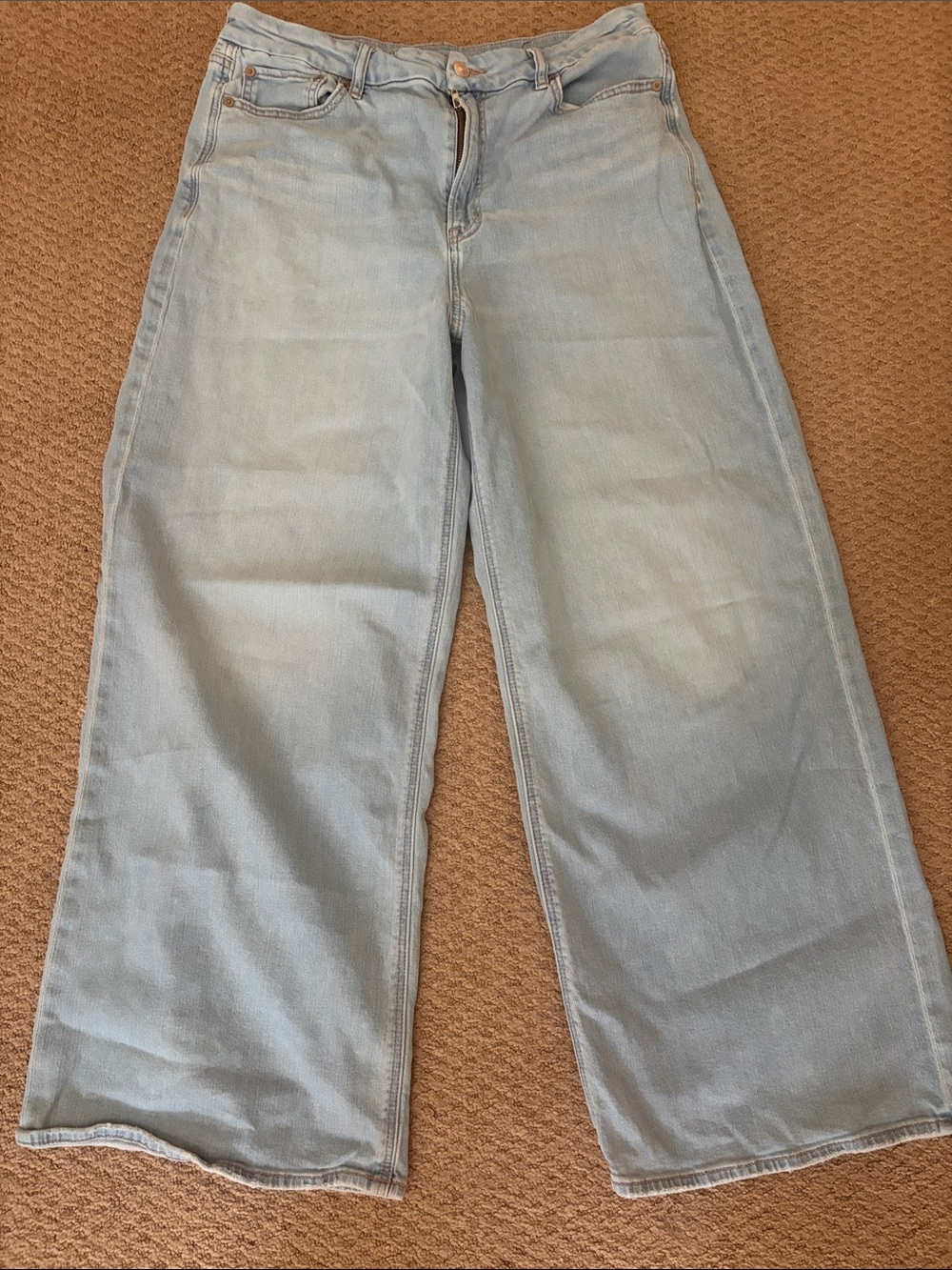 American Eagle Outfitters Light Blue Wide-Leg Jeans